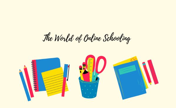 The World of Online Schooling